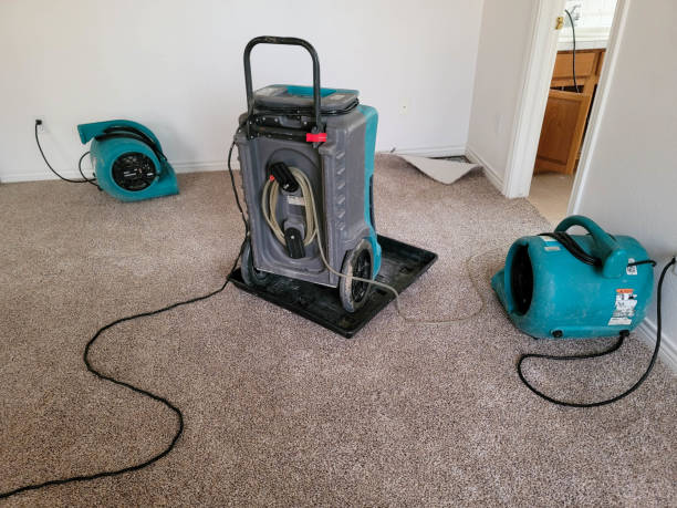 Best Water damage cleanup near me  in Woonsocket, RI