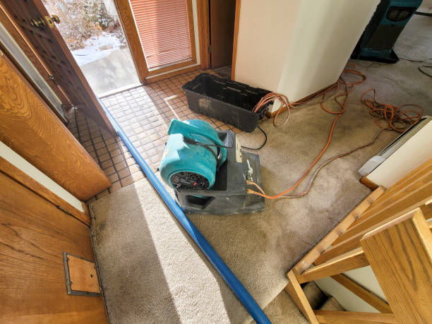 Best Basement water damage restoration  in Woonsocket, RI
