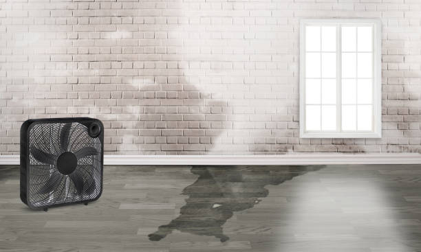 Best Residential water damage restoration  in Woonsocket, RI