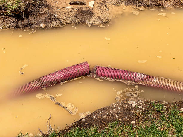 Best Flood damage cleanup  in Woonsocket, RI