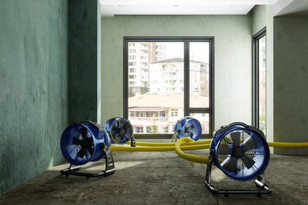 Best Emergency water damage restoration  in Woonsocket, RI