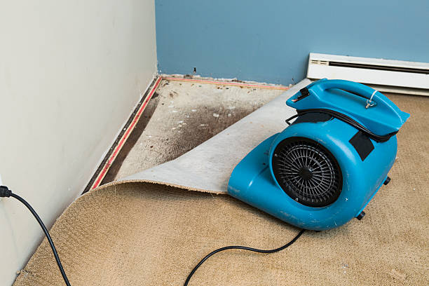 Best Professional water damage repair  in Woonsocket, RI